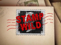 Stawmp Wild